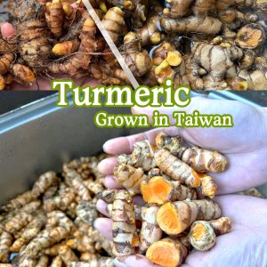 ZOZILO Turmeric Extract Soap