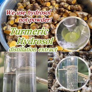 ZOZILO Turmeric Extract Soap
