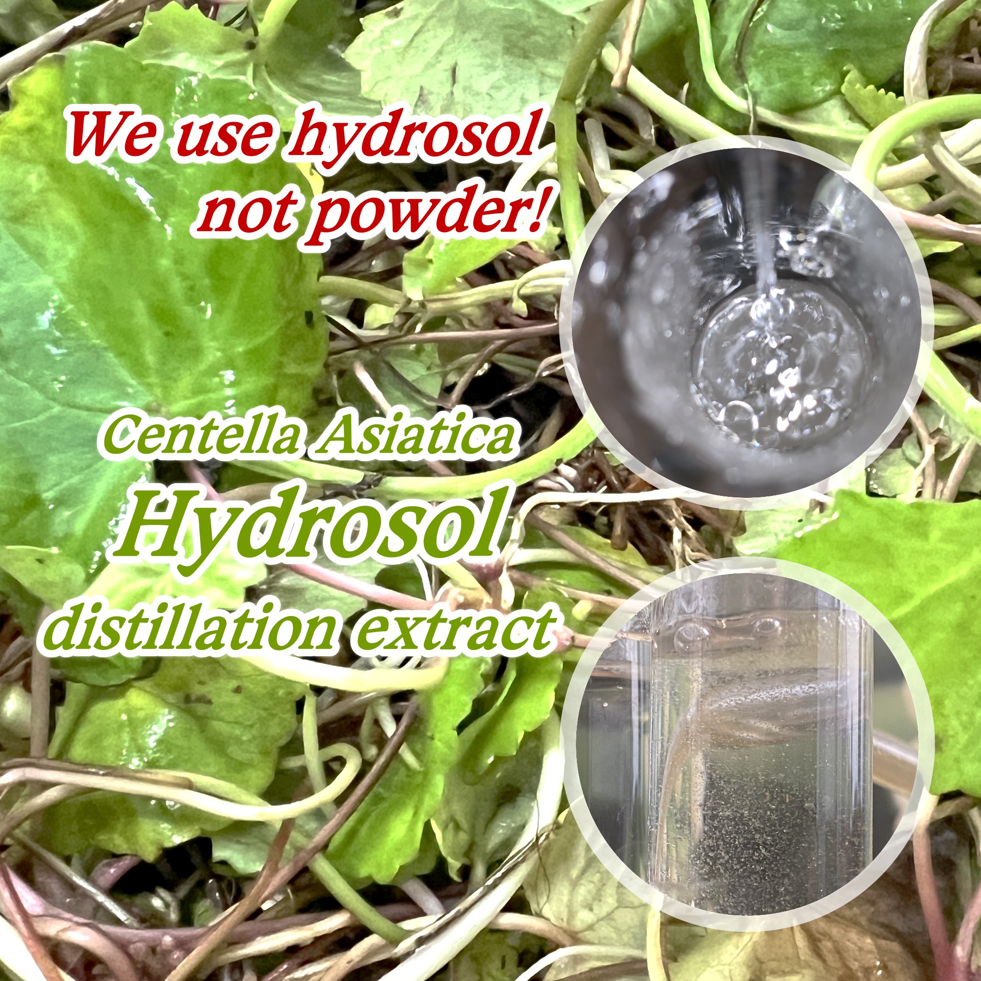 Artisan Soap Bar with Centella Asiatica Extract